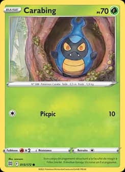 Carte Pokémon