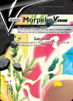 Morpeko V-UNION