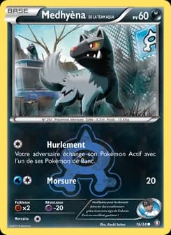 Carte Pokémon