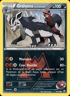 Carte Pokémon