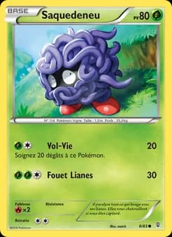 Carte Pokémon