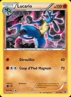 Carte Pokémon
