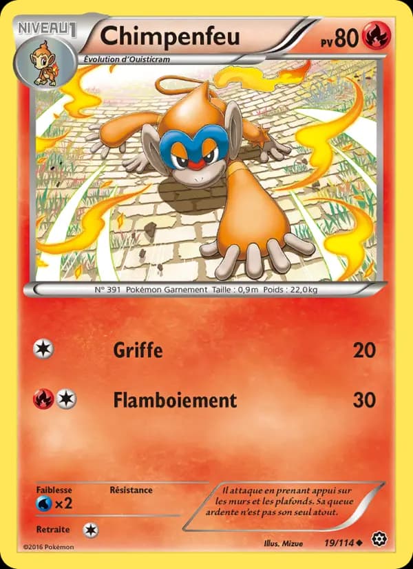 Chimpenfeu