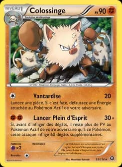 Carte Pokémon