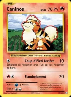 Carte Pokémon