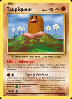 Carte Pokémon