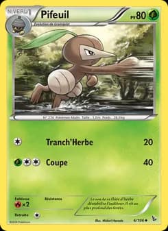 Carte Pokémon