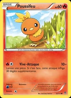 Carte Pokémon