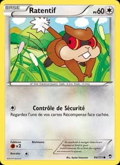 Carte Pokémon