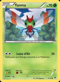 Carte Pokémon
