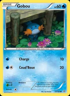 Carte Pokémon