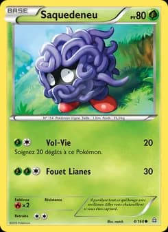 Carte Pokémon