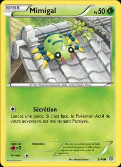 Carte Pokémon