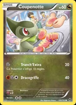 Carte Pokémon