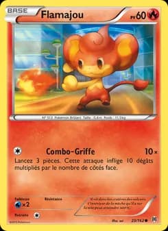 Carte Pokémon