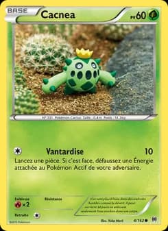 Carte Pokémon