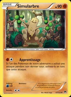 Carte Pokémon