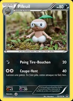 Carte Pokémon
