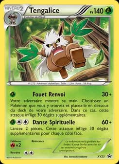 Carte Pokémon