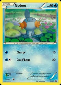 Carte Pokémon