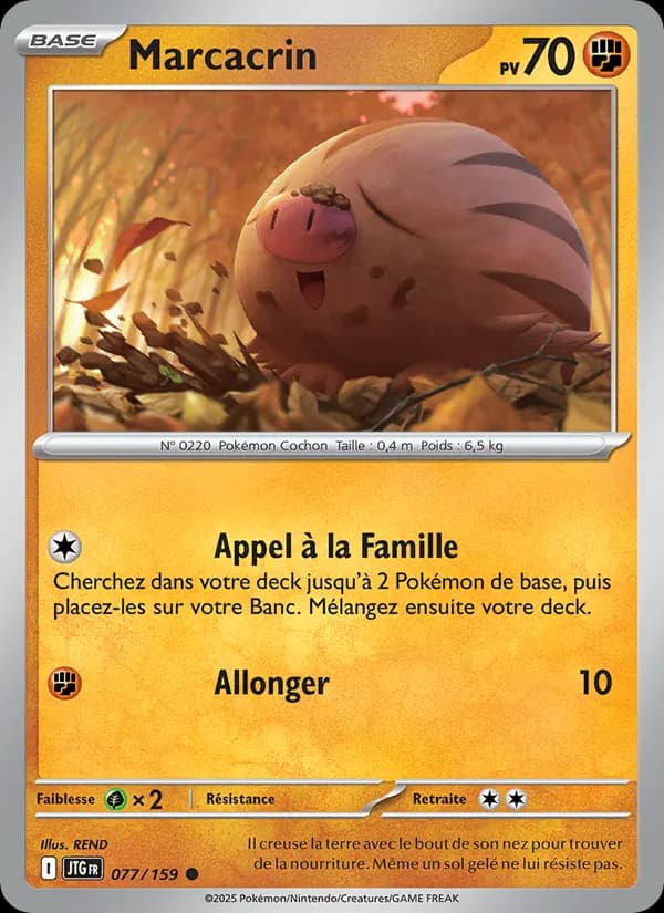 Marcacrin