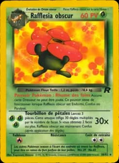 Rafflesia obscur
