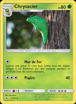 Chrysacier