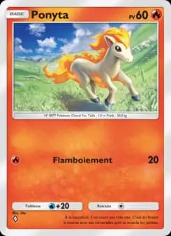 Ponyta