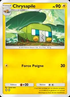 Chrysapile