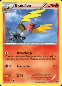 Braisillon